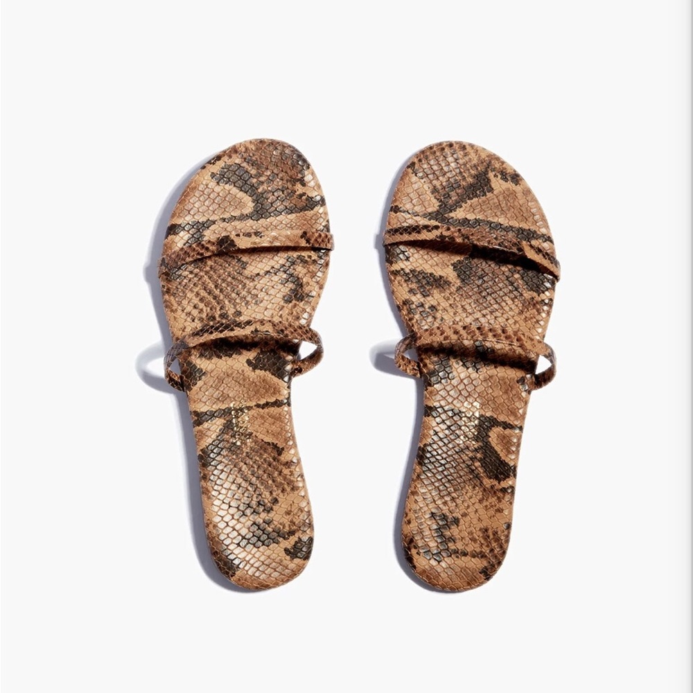 Tkees Gemma Vegan Animal - coco Snake